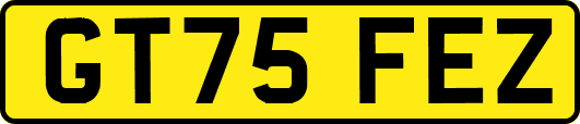 GT75FEZ