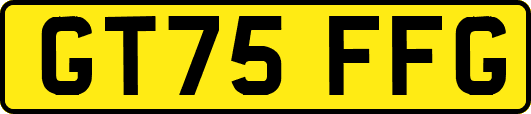 GT75FFG