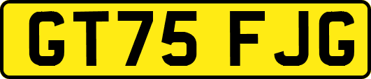 GT75FJG