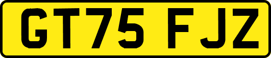 GT75FJZ