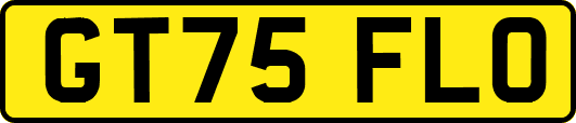 GT75FLO