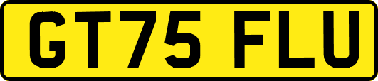 GT75FLU