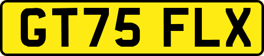 GT75FLX