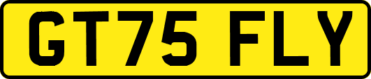 GT75FLY