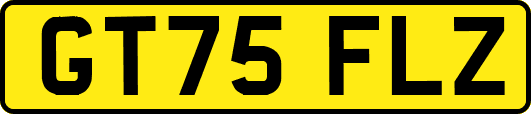 GT75FLZ