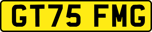 GT75FMG