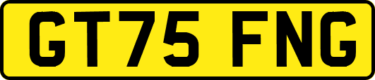GT75FNG