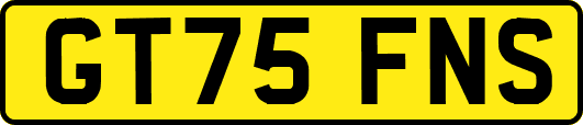 GT75FNS