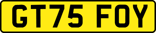 GT75FOY