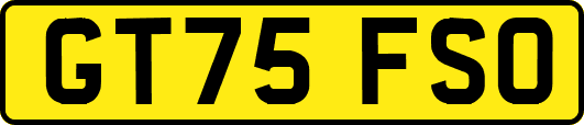 GT75FSO