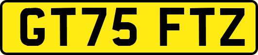 GT75FTZ