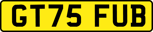 GT75FUB