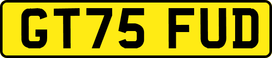 GT75FUD