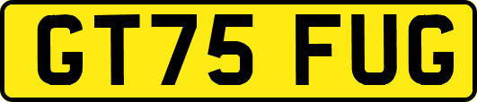 GT75FUG