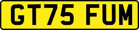 GT75FUM