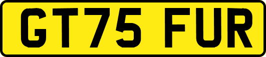 GT75FUR