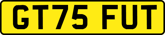 GT75FUT