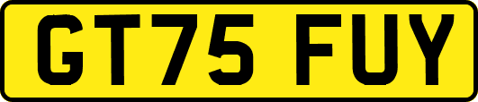 GT75FUY