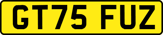 GT75FUZ