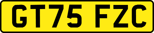 GT75FZC