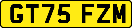 GT75FZM