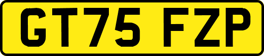 GT75FZP