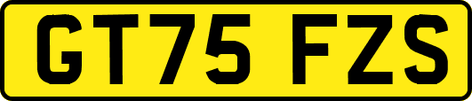 GT75FZS