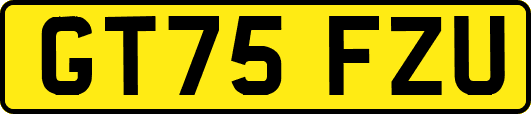 GT75FZU