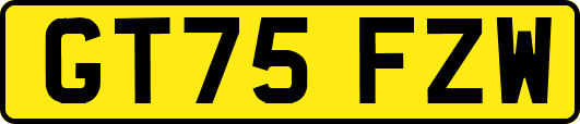 GT75FZW