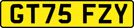 GT75FZY