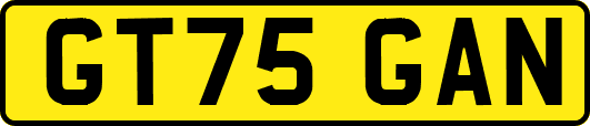 GT75GAN