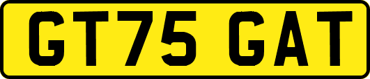 GT75GAT