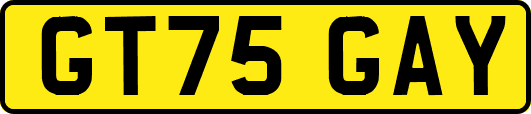 GT75GAY