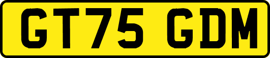GT75GDM