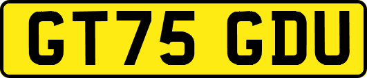 GT75GDU
