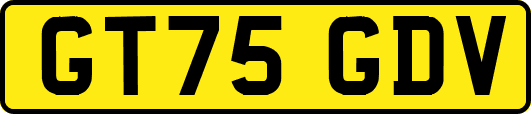 GT75GDV