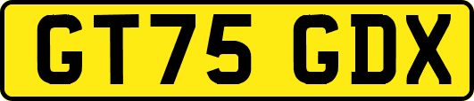 GT75GDX