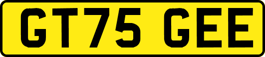GT75GEE