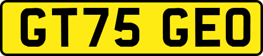 GT75GEO