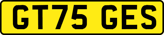 GT75GES