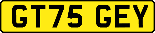 GT75GEY