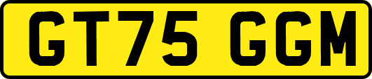 GT75GGM