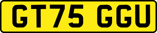 GT75GGU