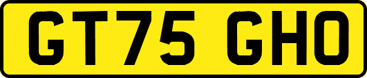 GT75GHO