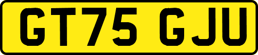 GT75GJU