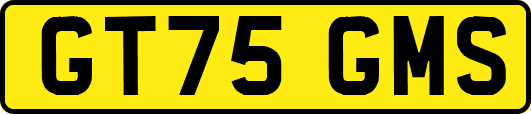 GT75GMS