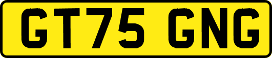 GT75GNG