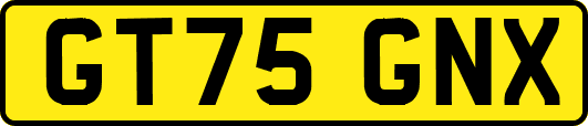 GT75GNX