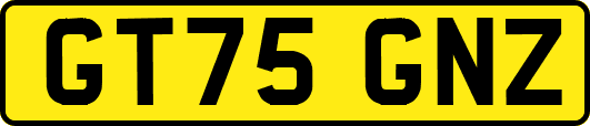GT75GNZ