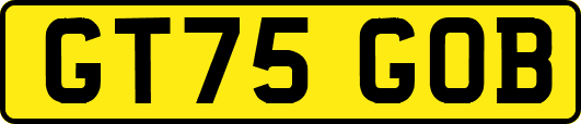 GT75GOB